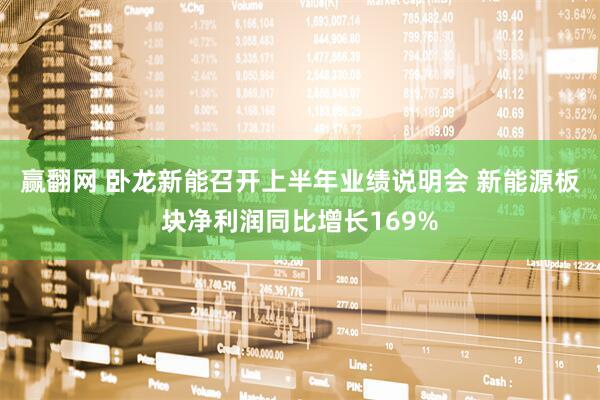 赢翻网 卧龙新能召开上半年业绩说明会 新能源板块净利润同比增长169%