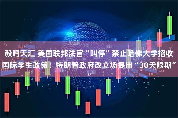 毅鸣天汇 美国联邦法官“叫停”禁止哈佛大学招收国际学生政策！特朗普政府改立场提出“30天限期”
